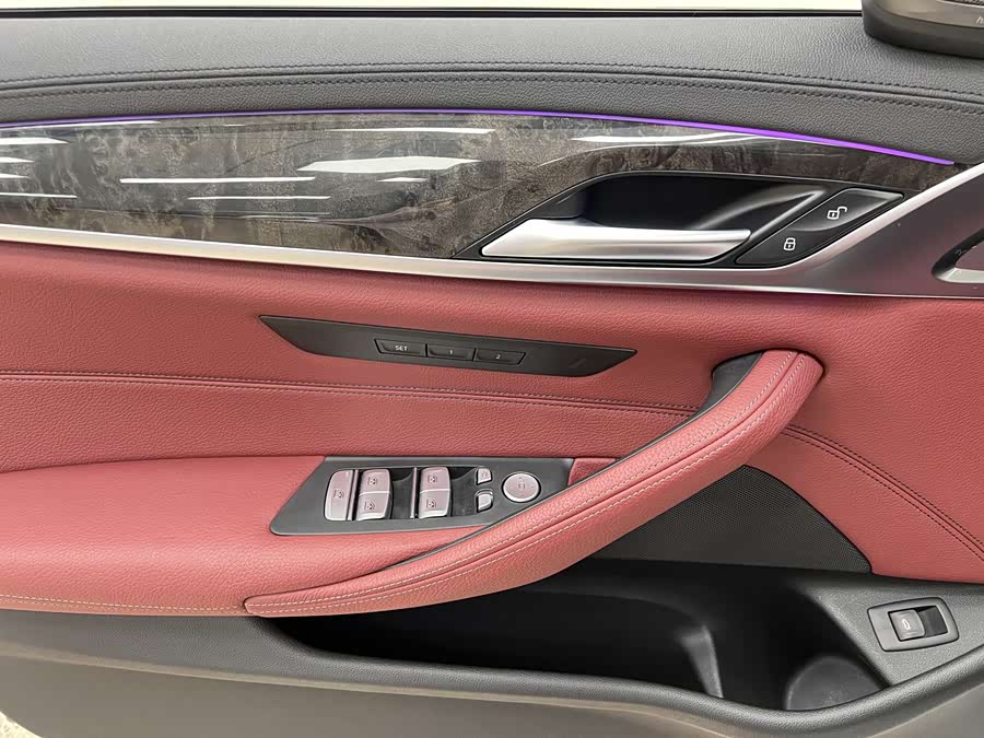 BMW 5 Series 2019 car image #16