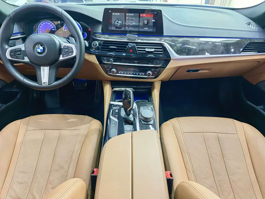 BMW 5 Series 2017 car image #16