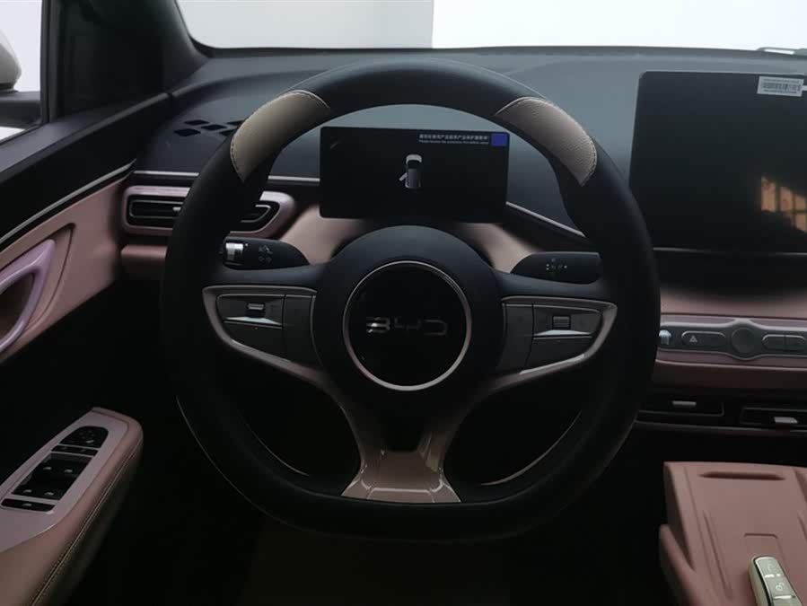 BYD Seagull 2025 imagen de coche #16