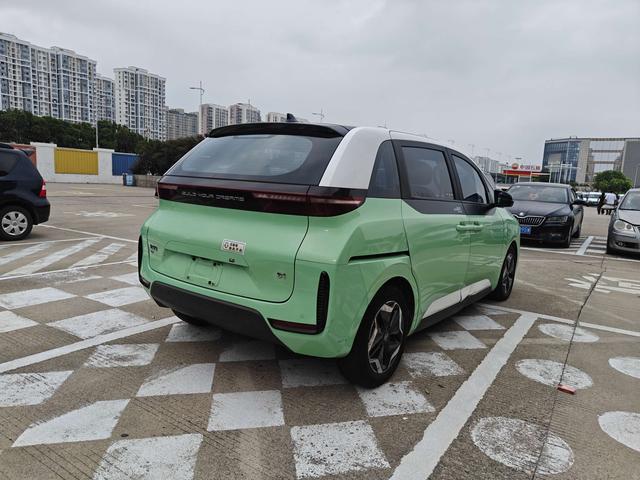 BYD D1 2021 car image #16