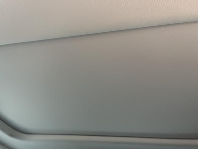 Haval Raptor 2025 immagine di auto #16