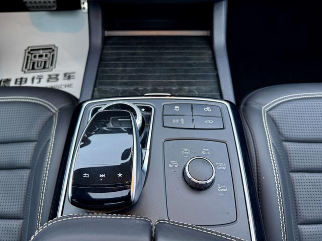 Mercedes-Benz GLS AMG 2019 car image #16