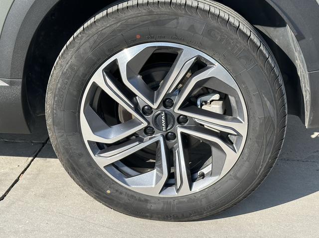 Haval Fierce Dragon 2023 #16 Haval Fierce Dragon 2023 immagine di auto #16