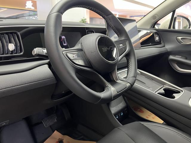 BYD Sea Lion 05 EV 2025 car image #16