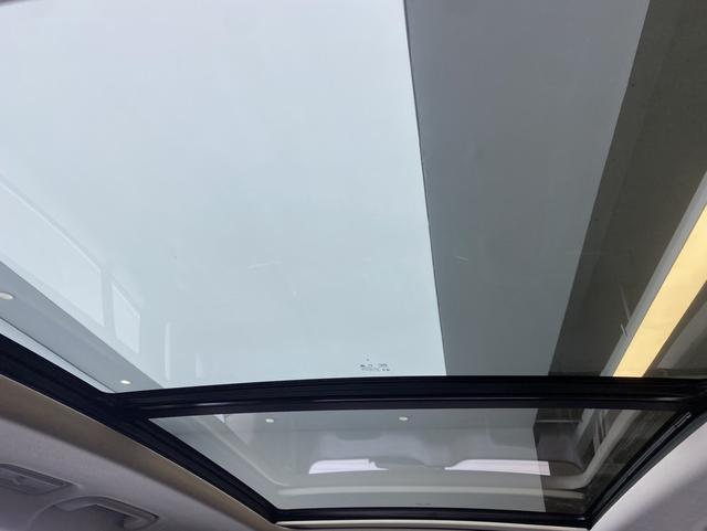 HongQi HS7 PHEV 2024 car image #16