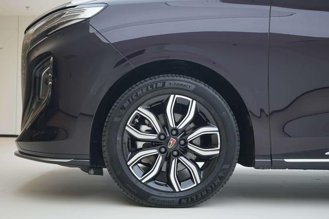 HongQi HQ9 2023 immagine di auto #16