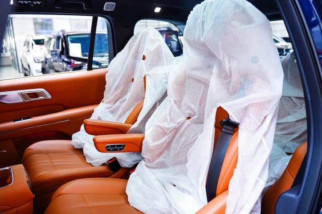 Deepal S09 2025 car image #16