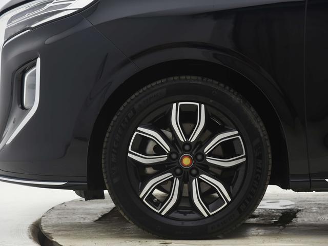 HongQi HQ9 2023 #16 HongQi HQ9 2023 immagine di auto #16