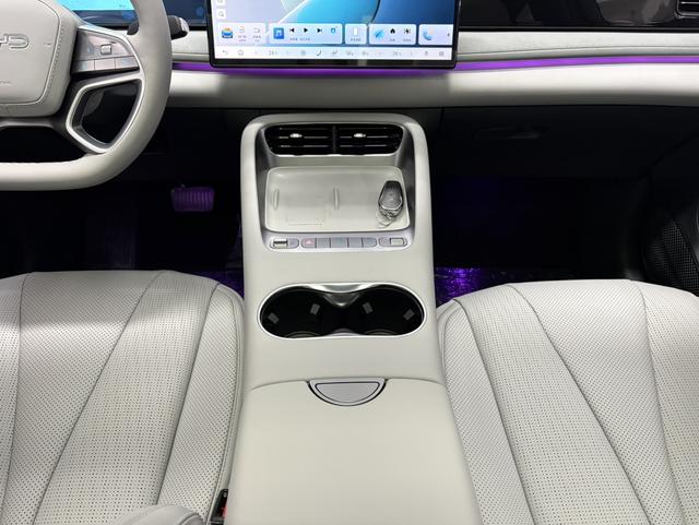 BYD Sea Lion 06 New Energy 2025 car image #16