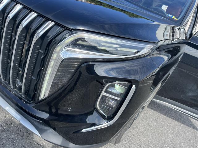 HongQi HS7 PHEV 2025 car image #16