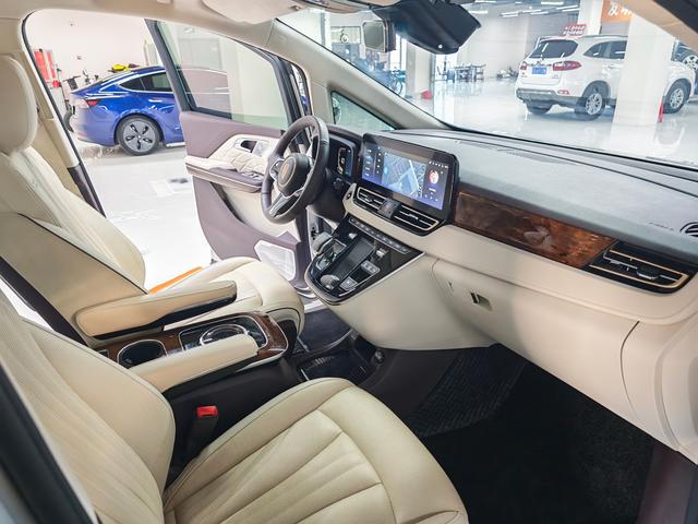 HongQi HQ9 2023 car image #16