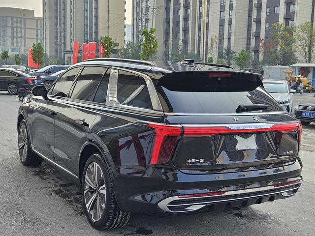 HongQi E-HS9 2022 car image #16