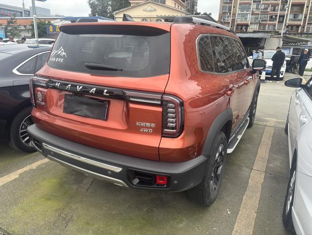 Haval X Dog / Dargo 2020 immagine di auto #16