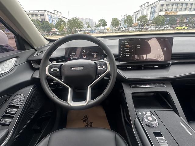 Haval H6 2022 car image #16