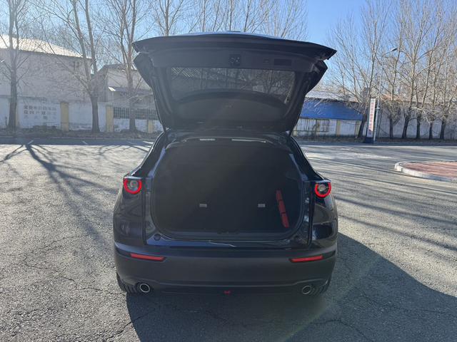 Mazda CX-3 2022 car image #16