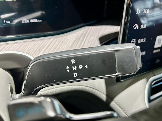 Denza N9 2025 car image #16