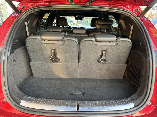 Denza X 2020 car image #16