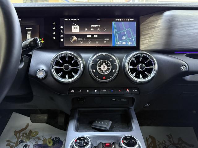 Tank 300 2022 #16 Tank 300 2022 صورة سيارة #16