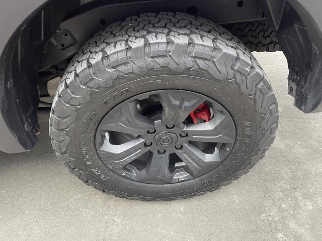 长城 炮 2025 汽车图片 #16