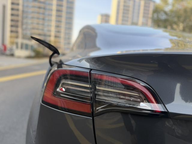Tesla Model 3 2020 car image #16