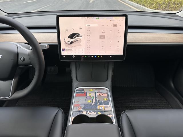 Tesla Model 3 2022 car image #16