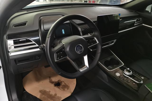 BYD 2024 car image #16