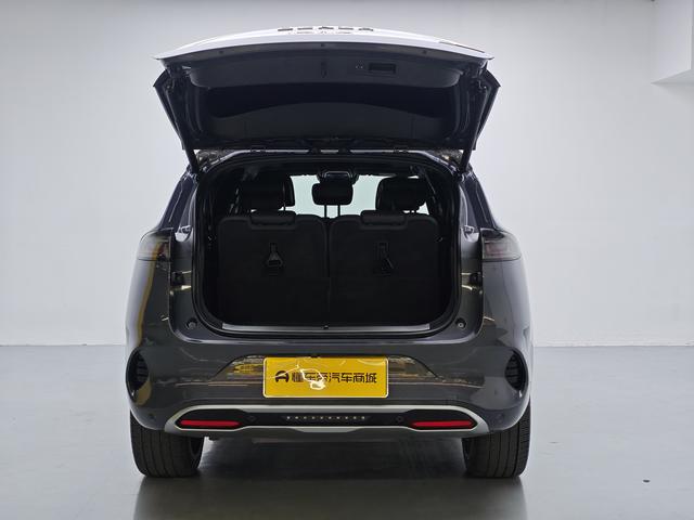 Denza 2021 imagem de carro #16