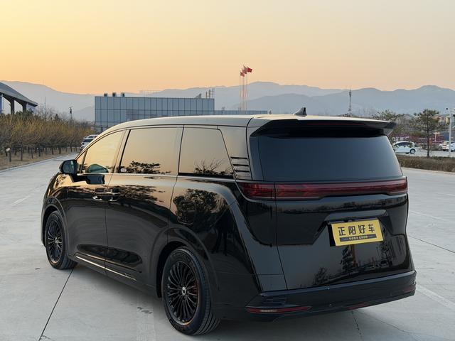 Denza D9 2023 imagem de carro #16