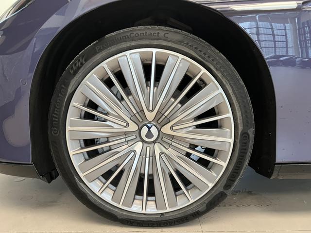 Denza 2024 immagine di auto #16