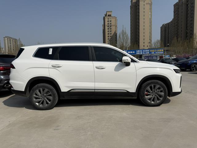 睿蓝汽车 睿蓝9 2024 汽车图片 #16