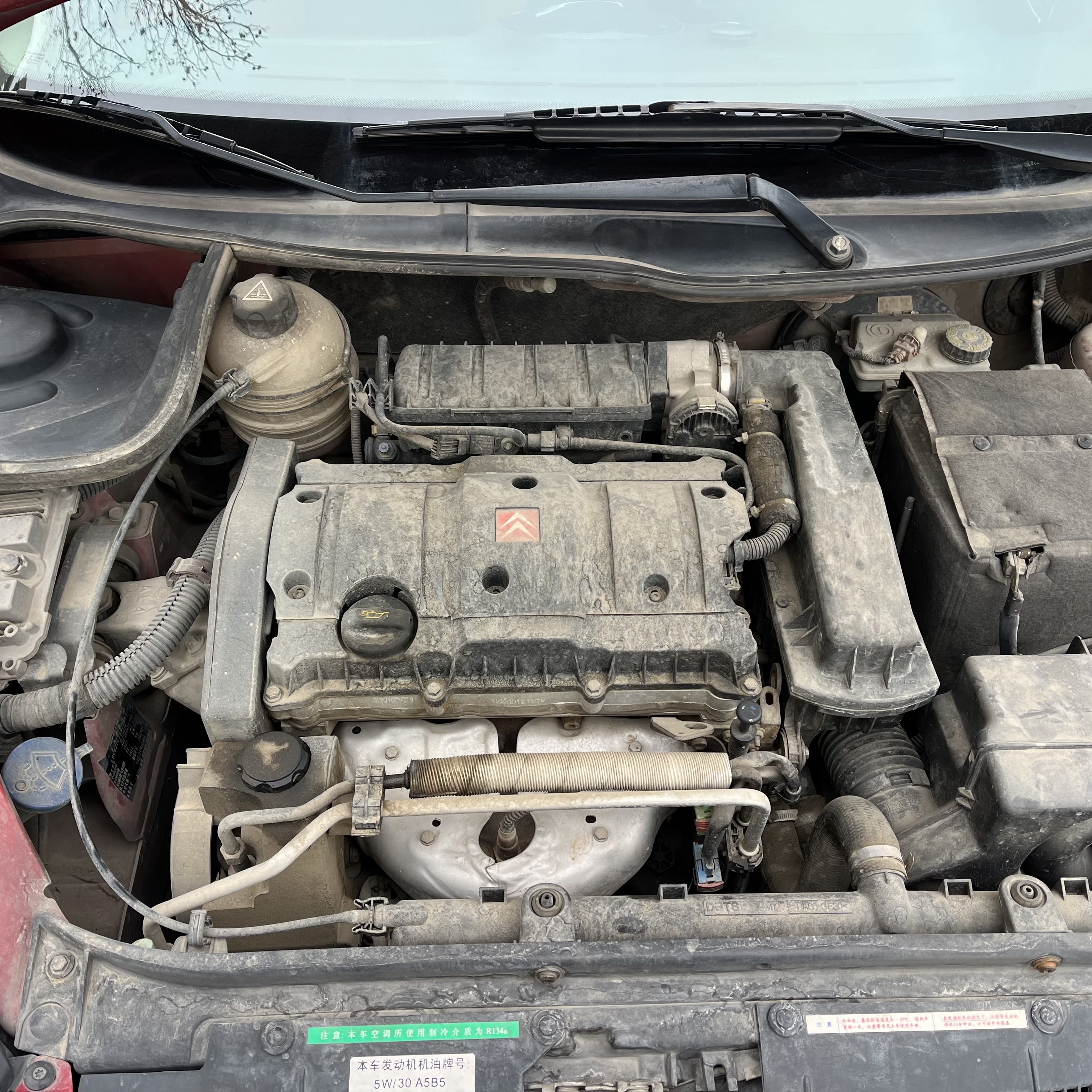 Citroen C2 2013 immagine di auto #16