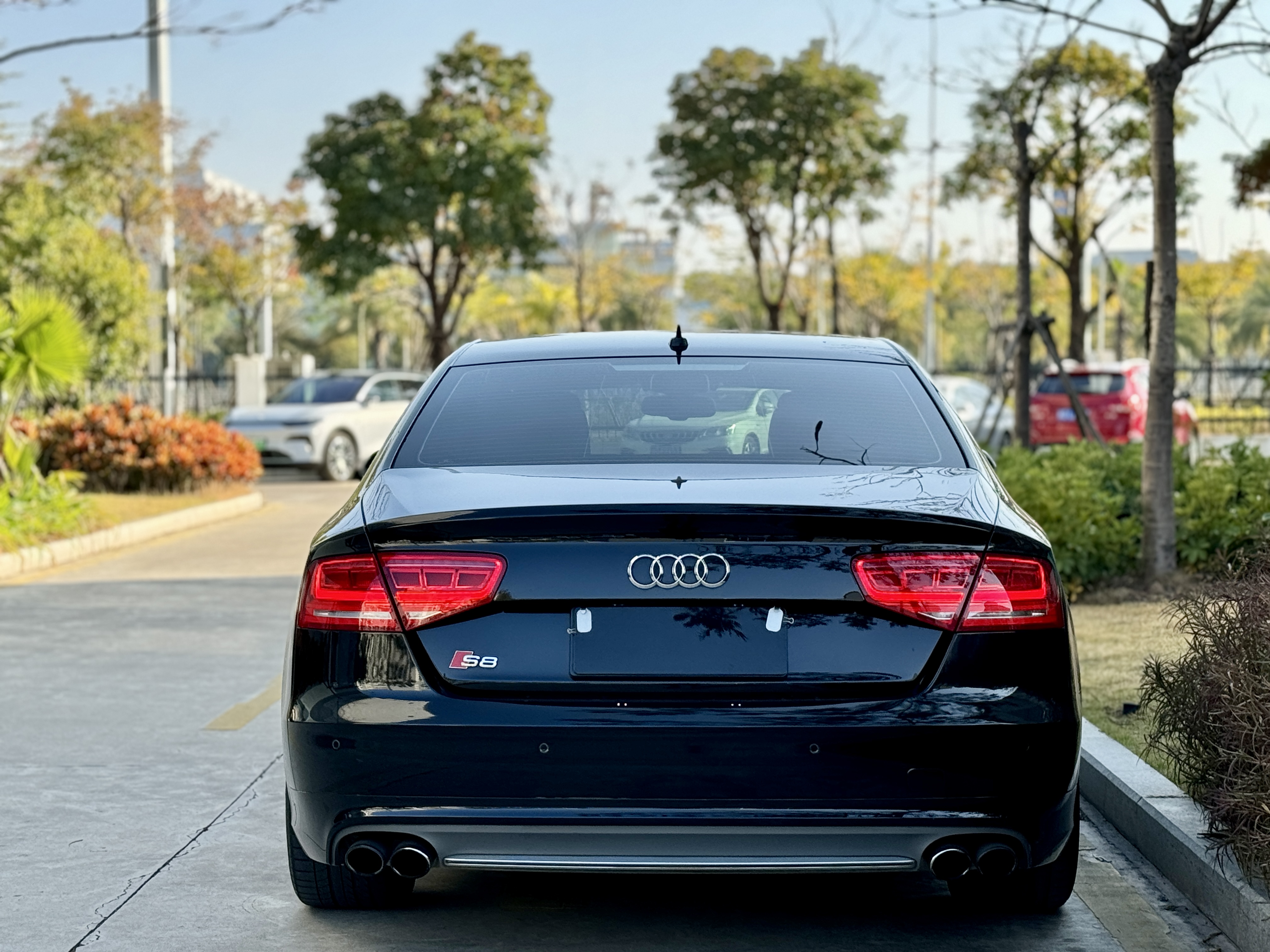 Audi S8 2013 car image #16