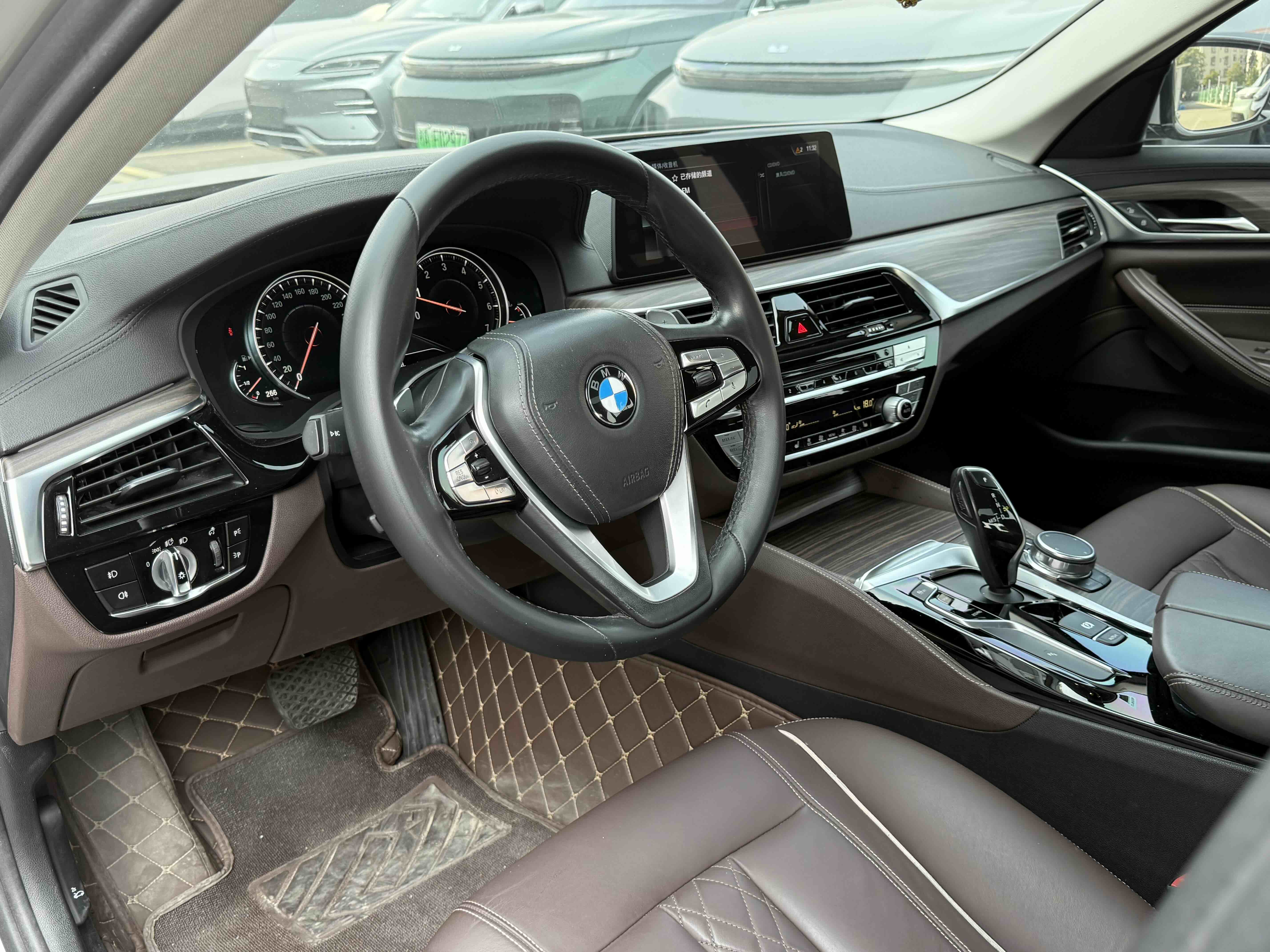 BMW 5 Series 2018 car image #16