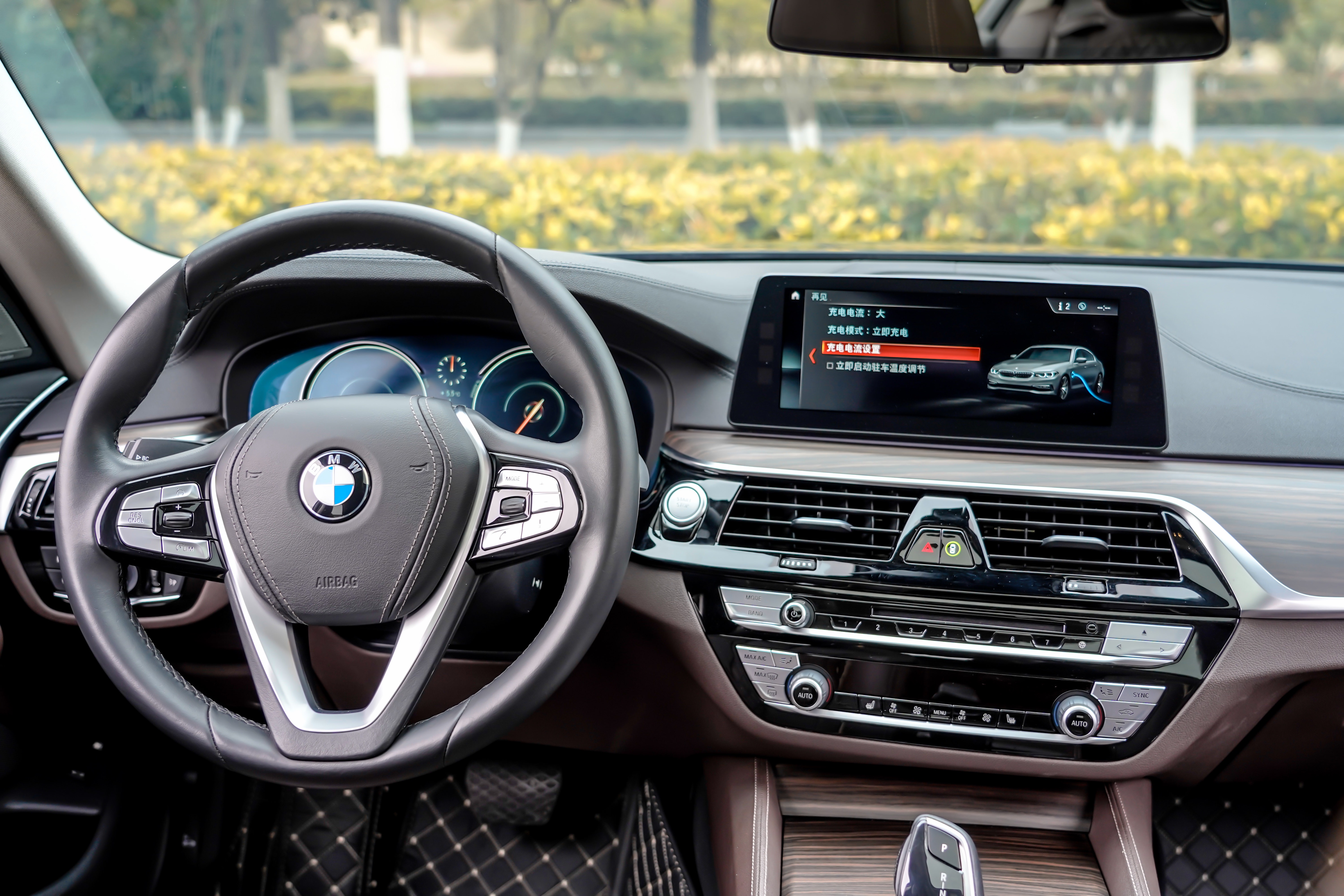 BMW 5 Series New Energy 2018 car image #16