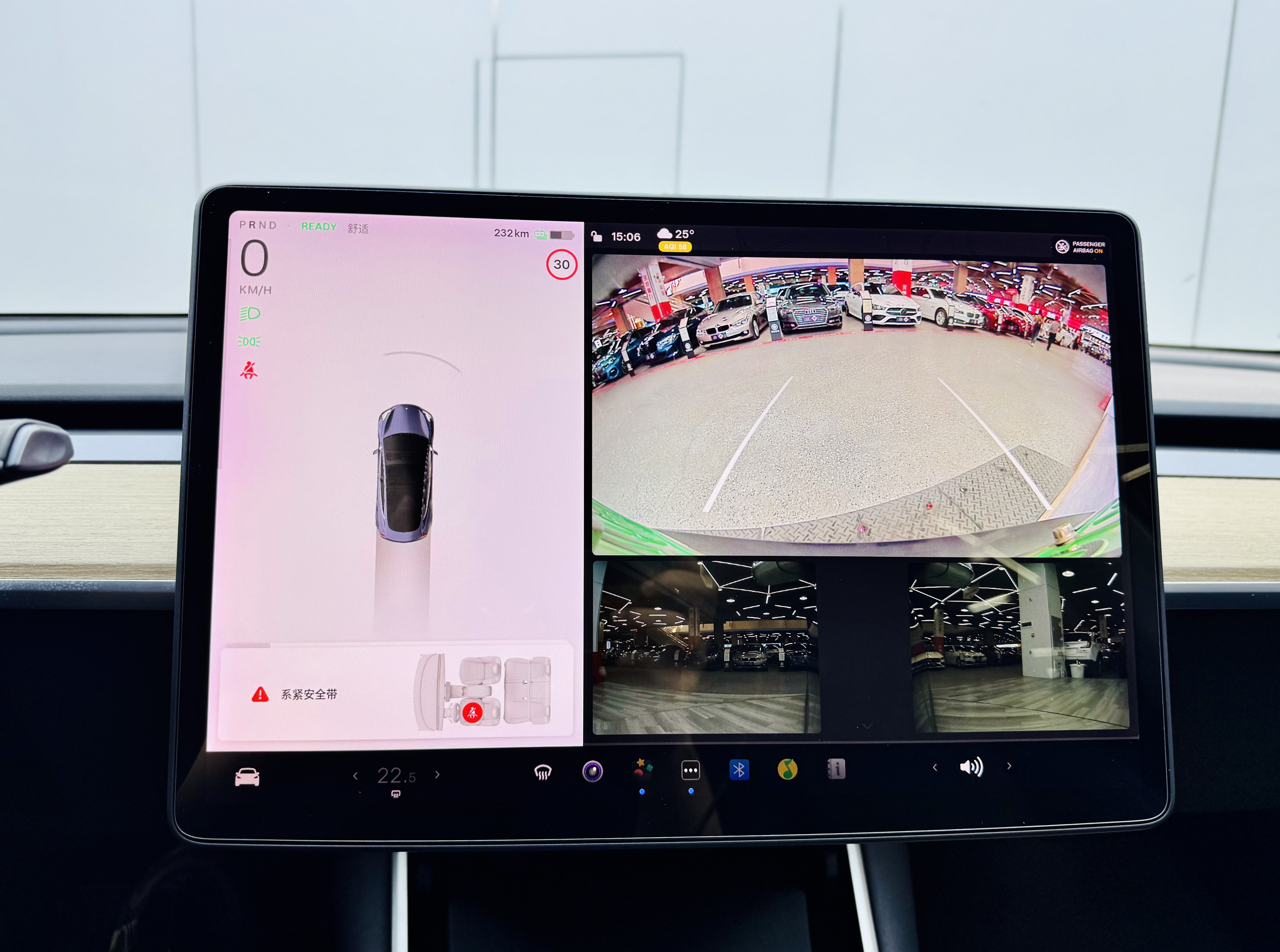 特斯拉 Model 3(进口) 2019 汽车图片 #16