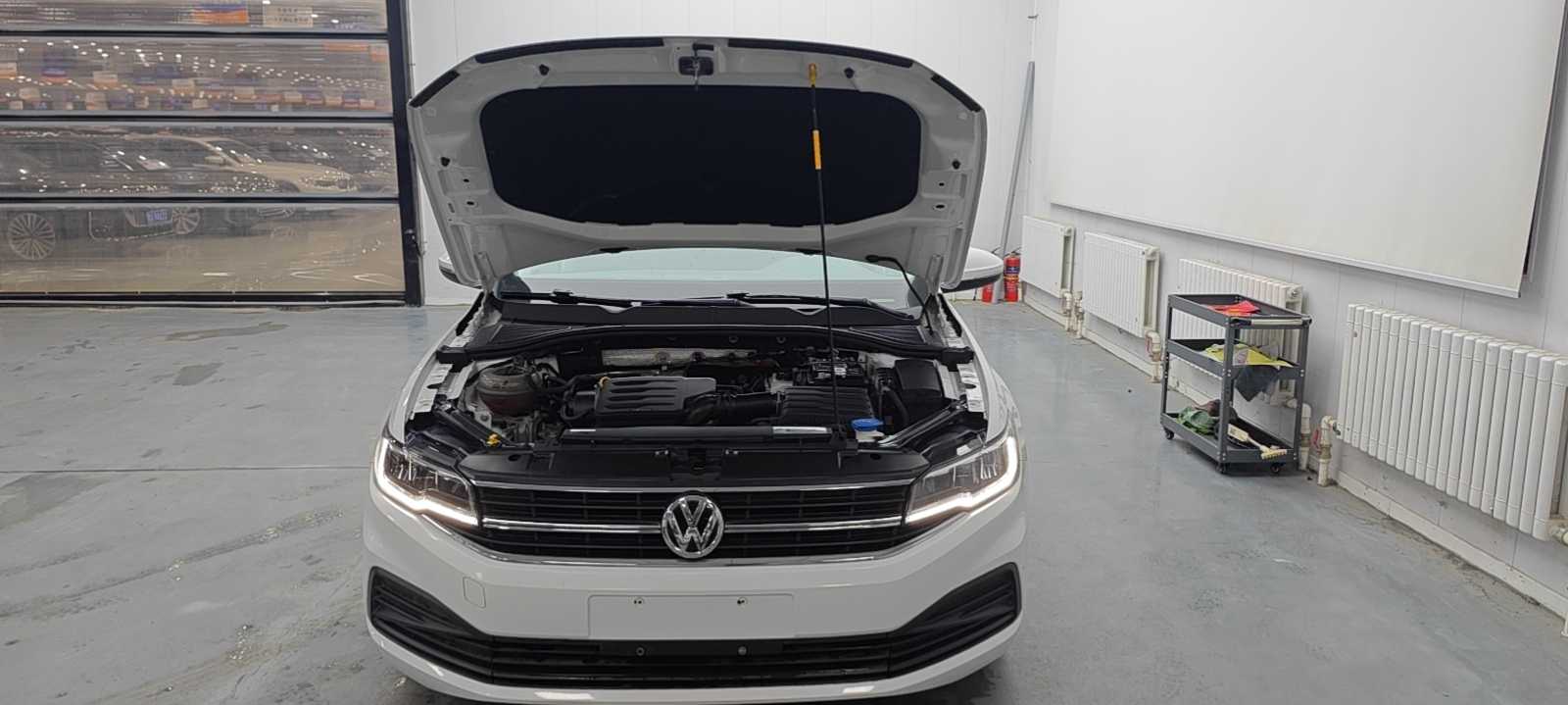 Volkswagen Bora 2019 car image #16