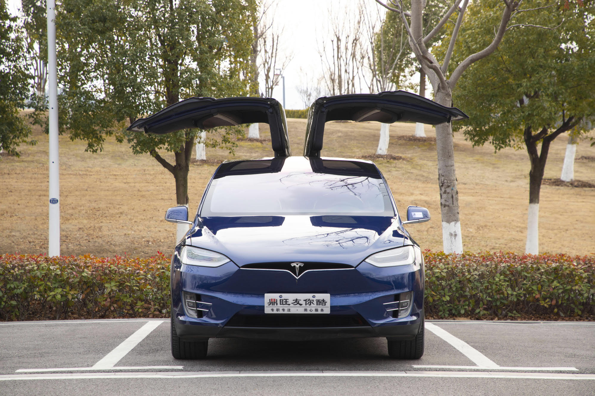 特斯拉 Model X 2019 汽车图片 #16