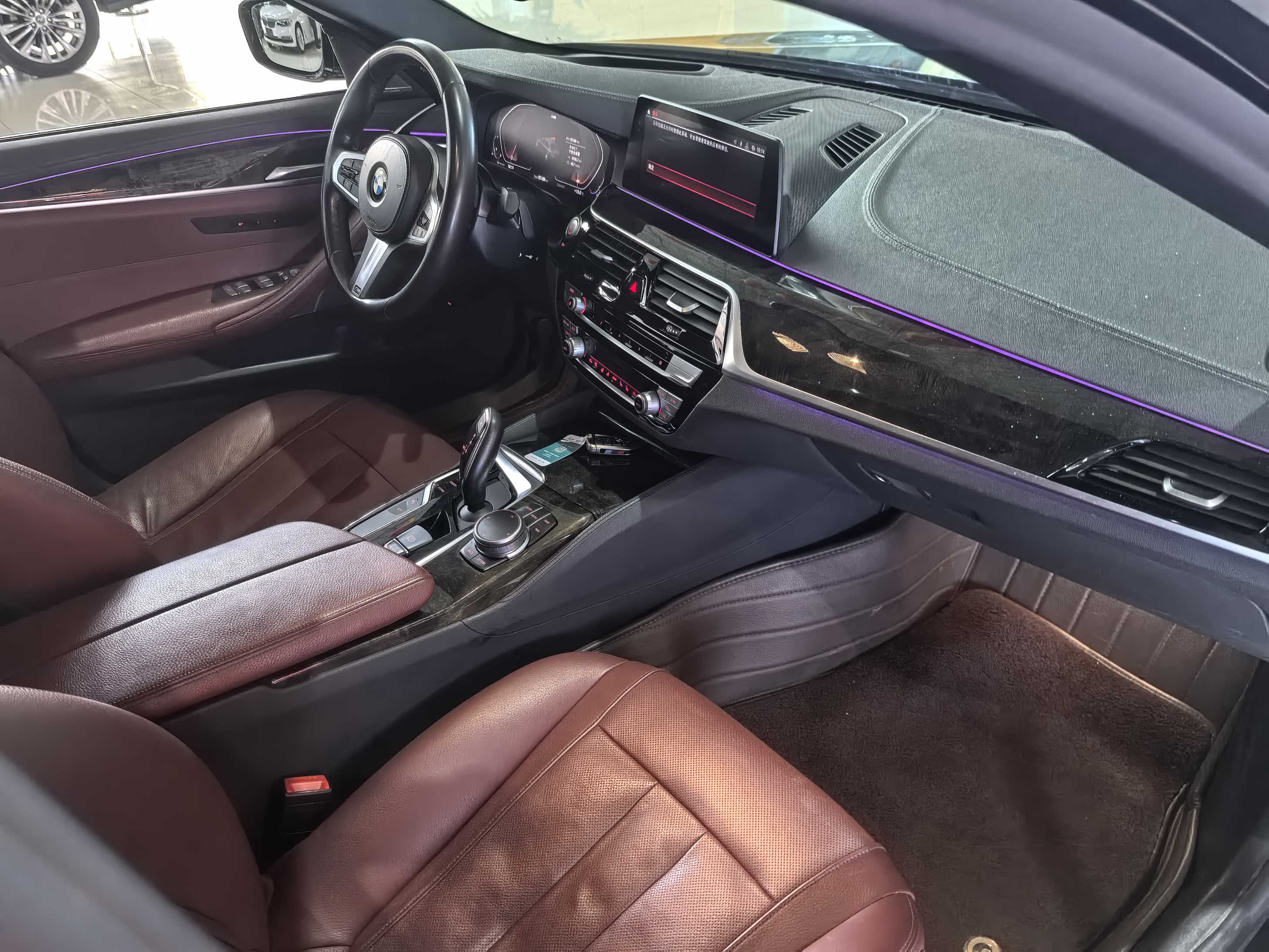 BMW 5 Series 2019 car image #16