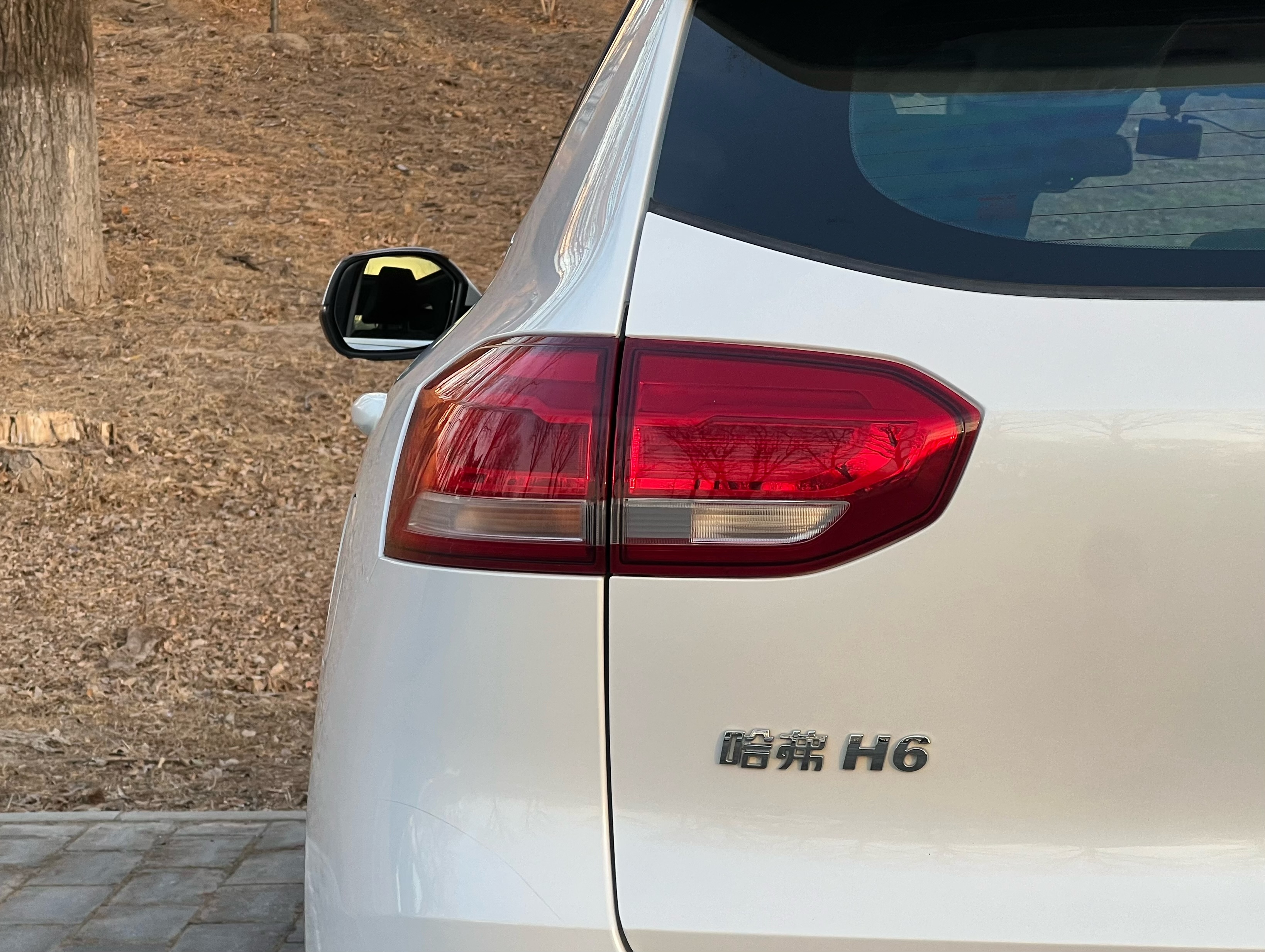 Haval H6 2020 car image #16