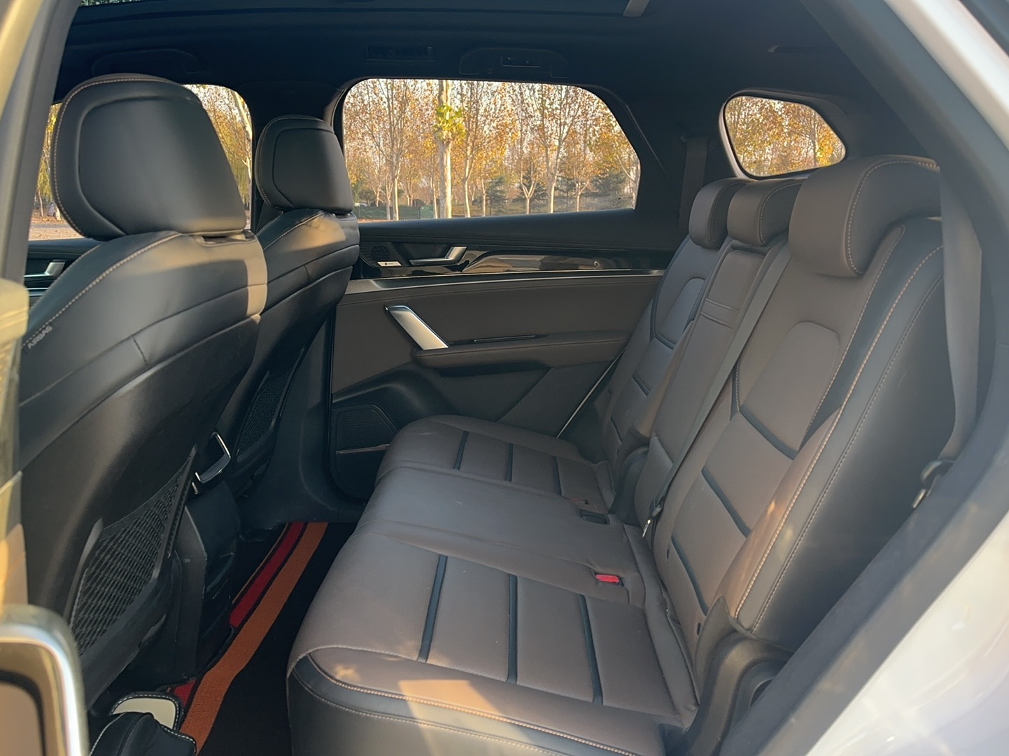 BYD Tang 2021 car image #16