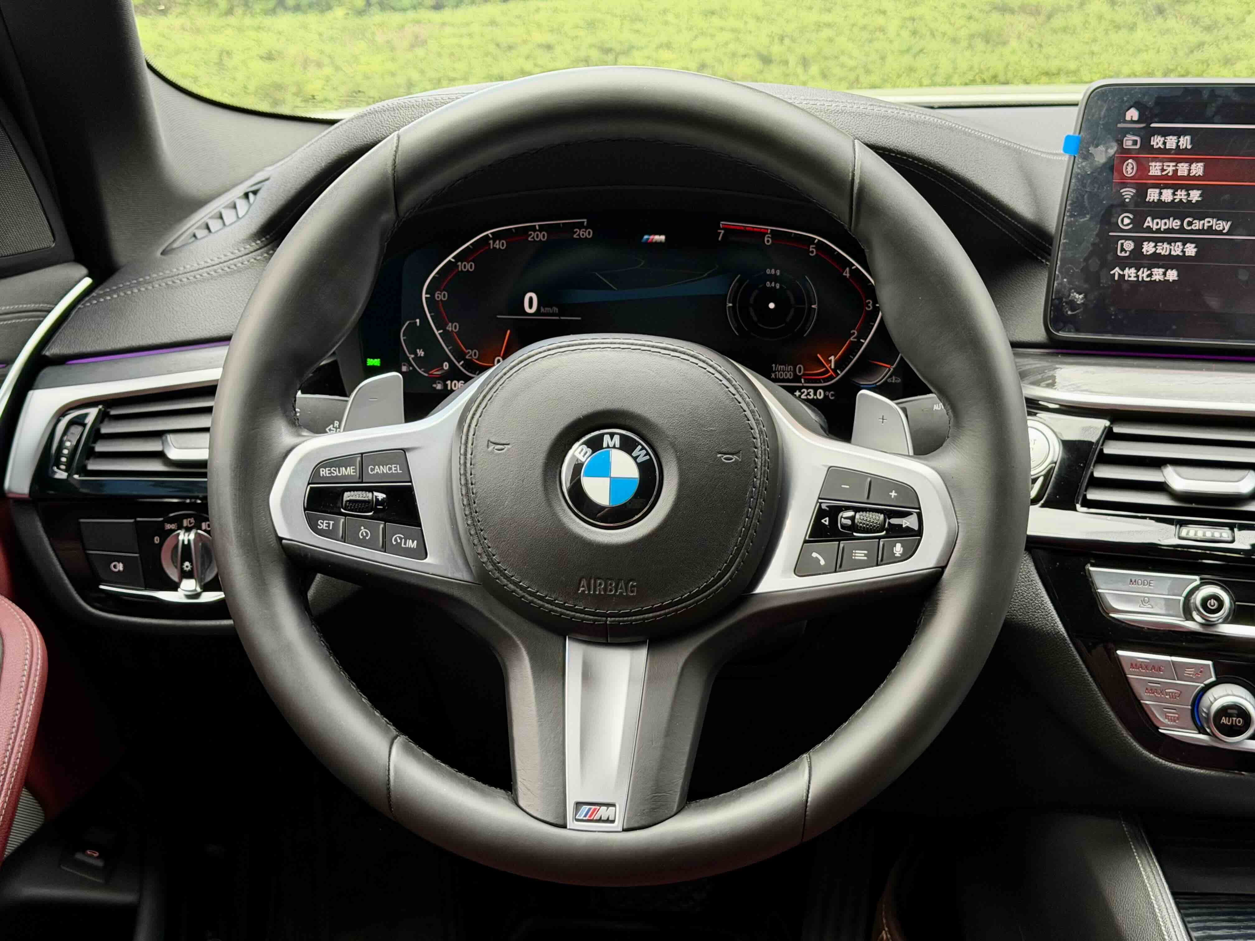 BMW 5 Series 2021 car image #16