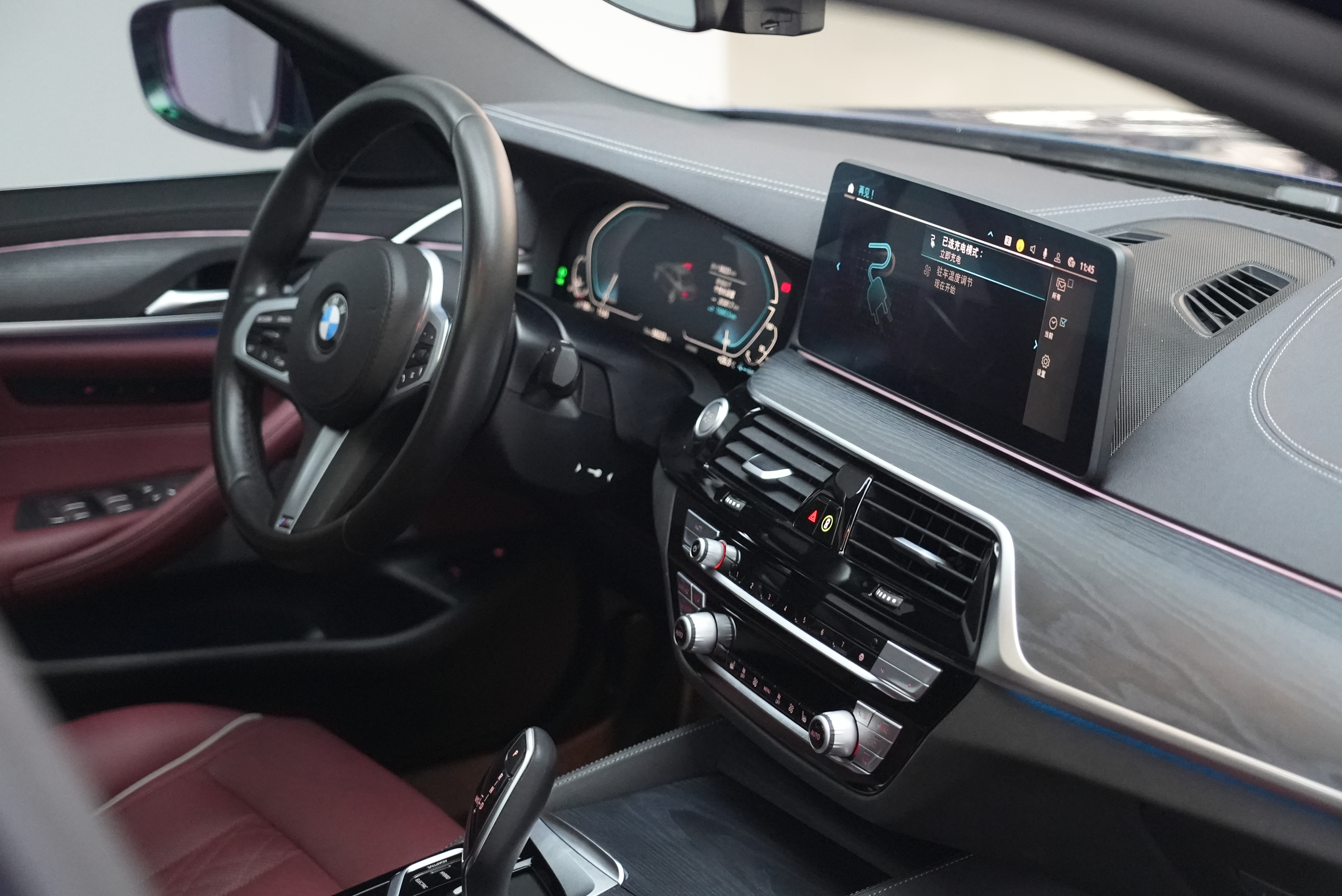 BMW 5 Series New Energy 2020 car image #16