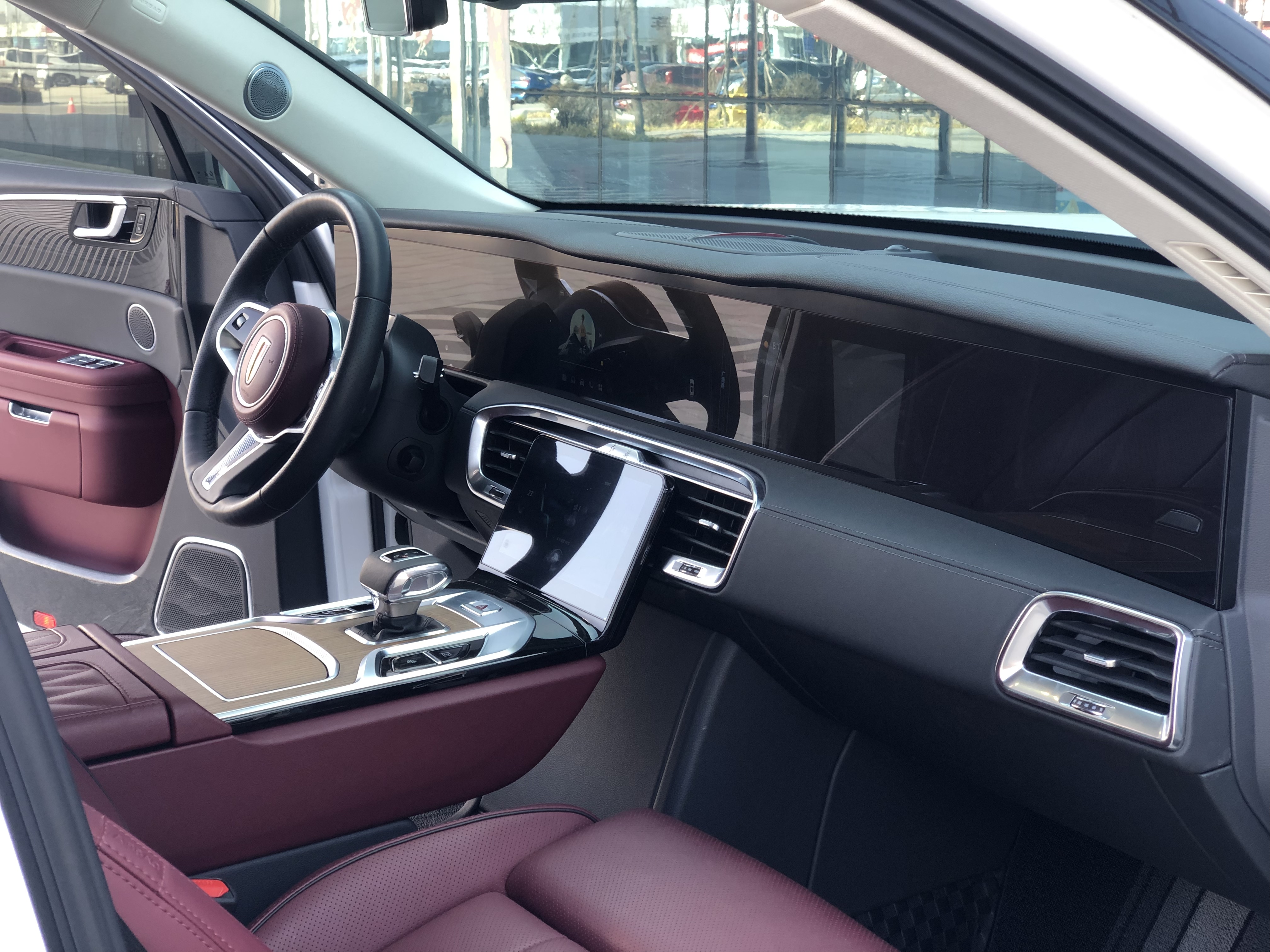 HongQi E-HS9 2021 image de voiture #16