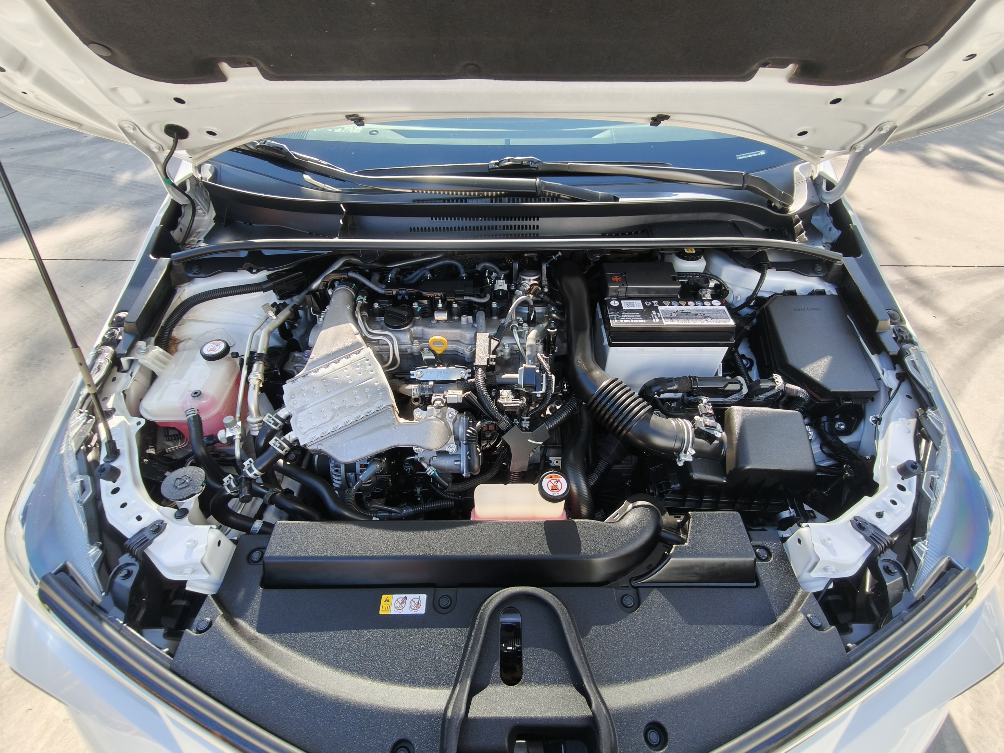 Toyota Corolla 2022 car image #16