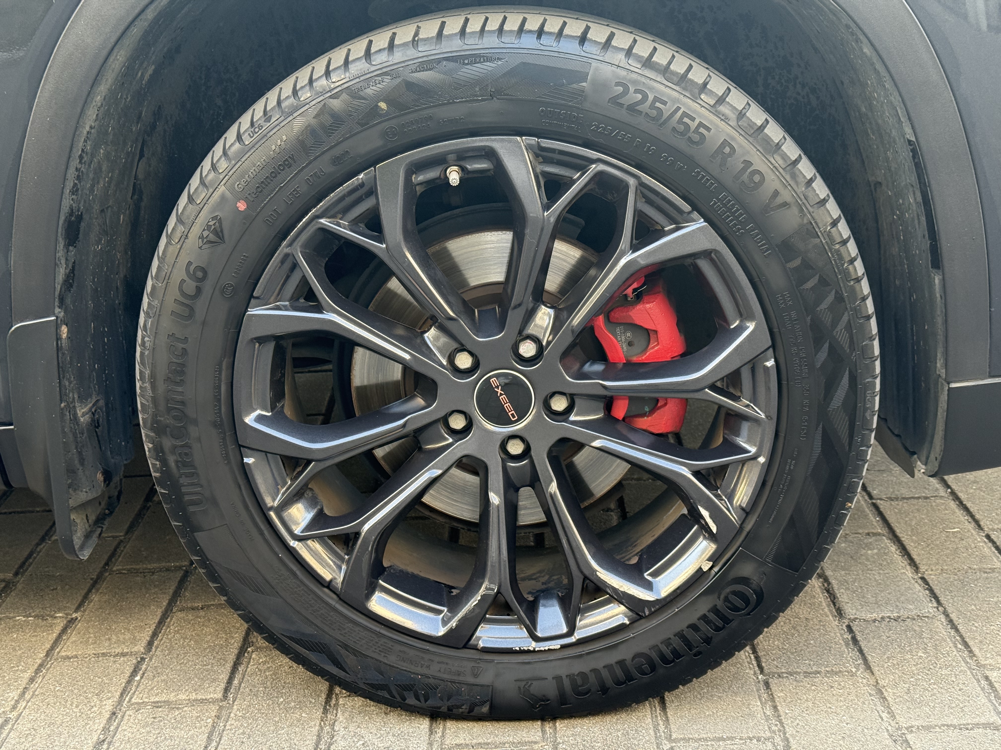 Exceed TX 2023 #16 Exceed TX 2023 car image #16