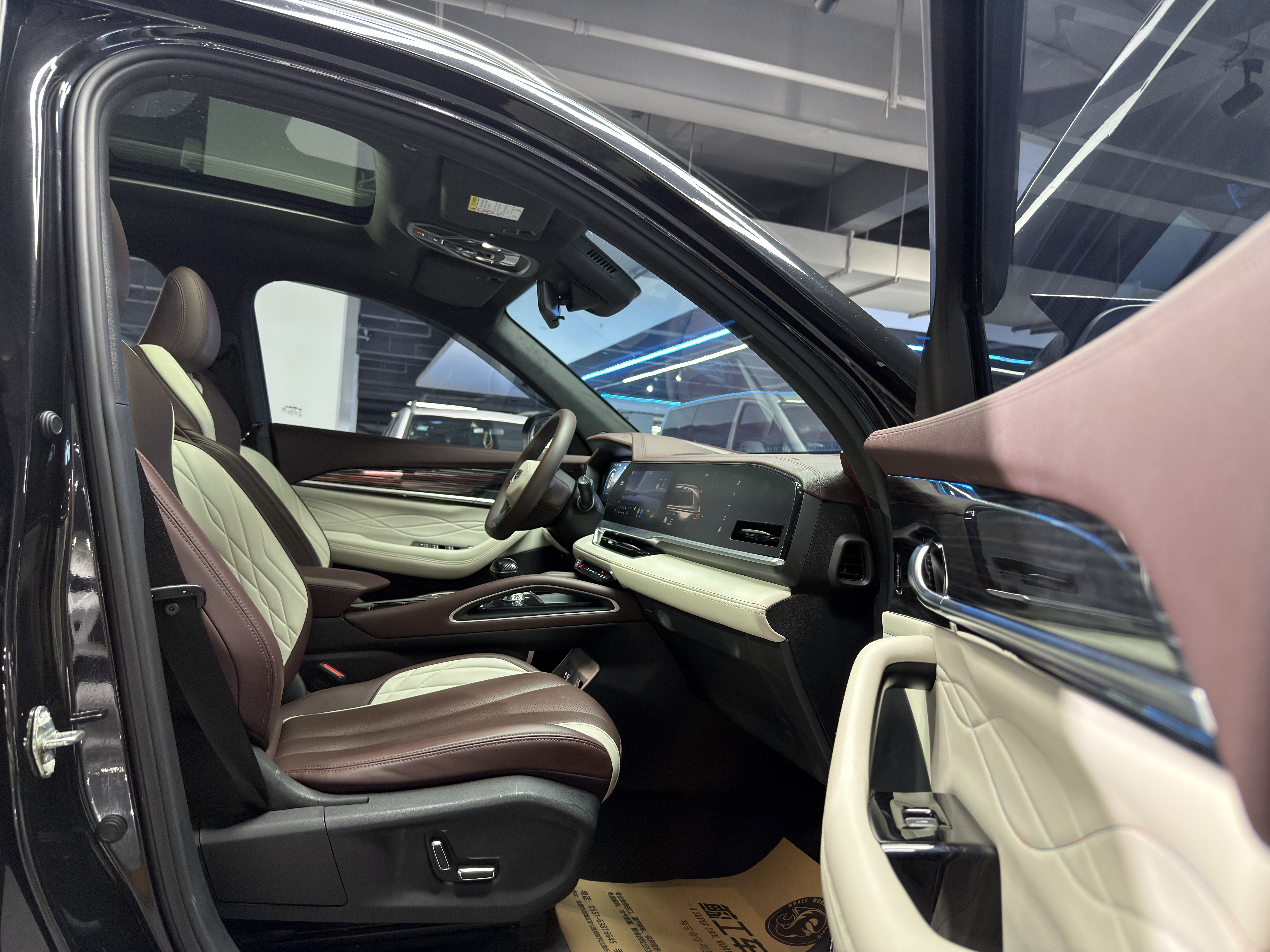 GEELY Monjaro 2022 car image #16