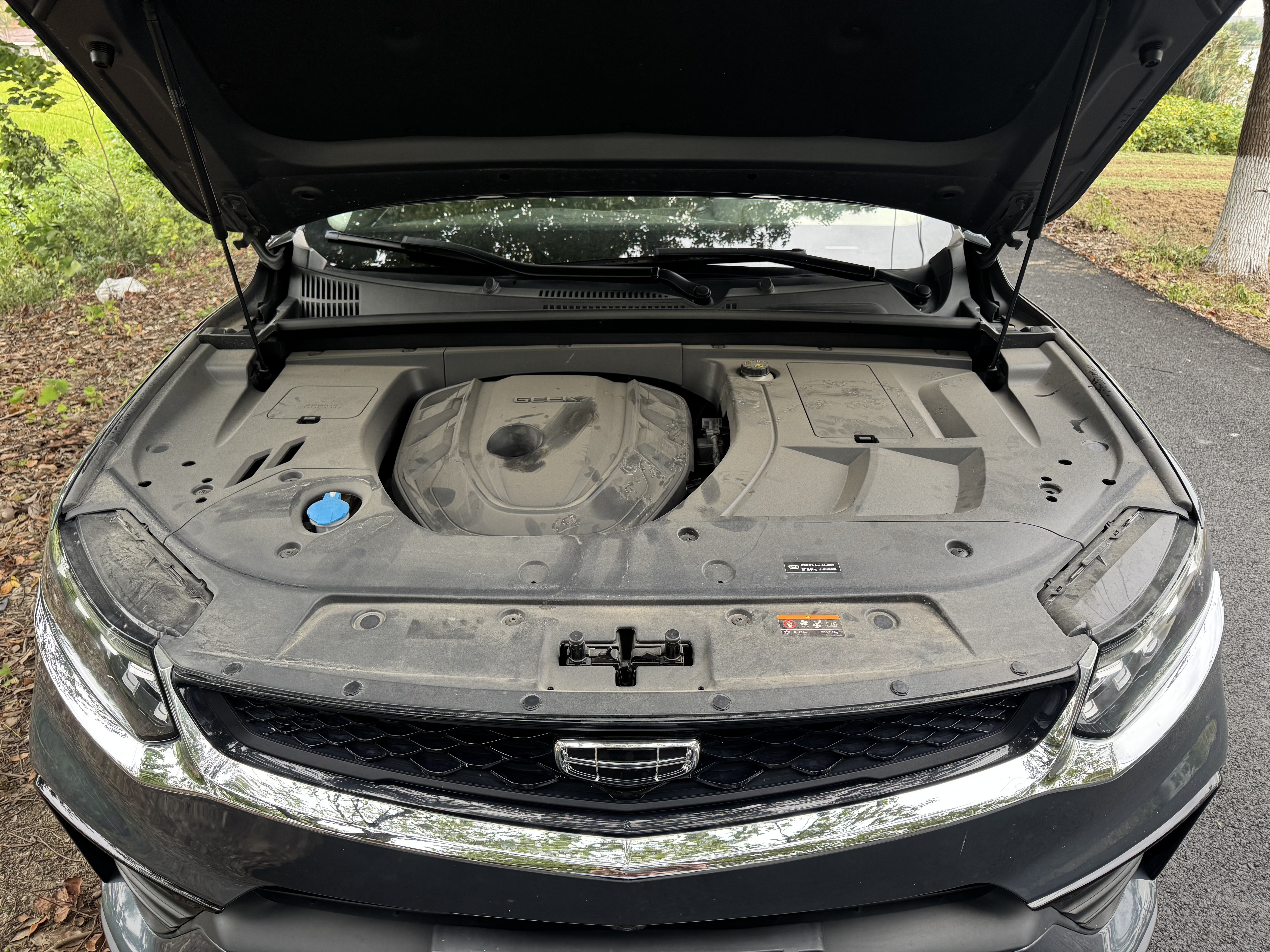 GEELY Tugella S 2021 #16 GEELY Tugella S 2021 car image #16