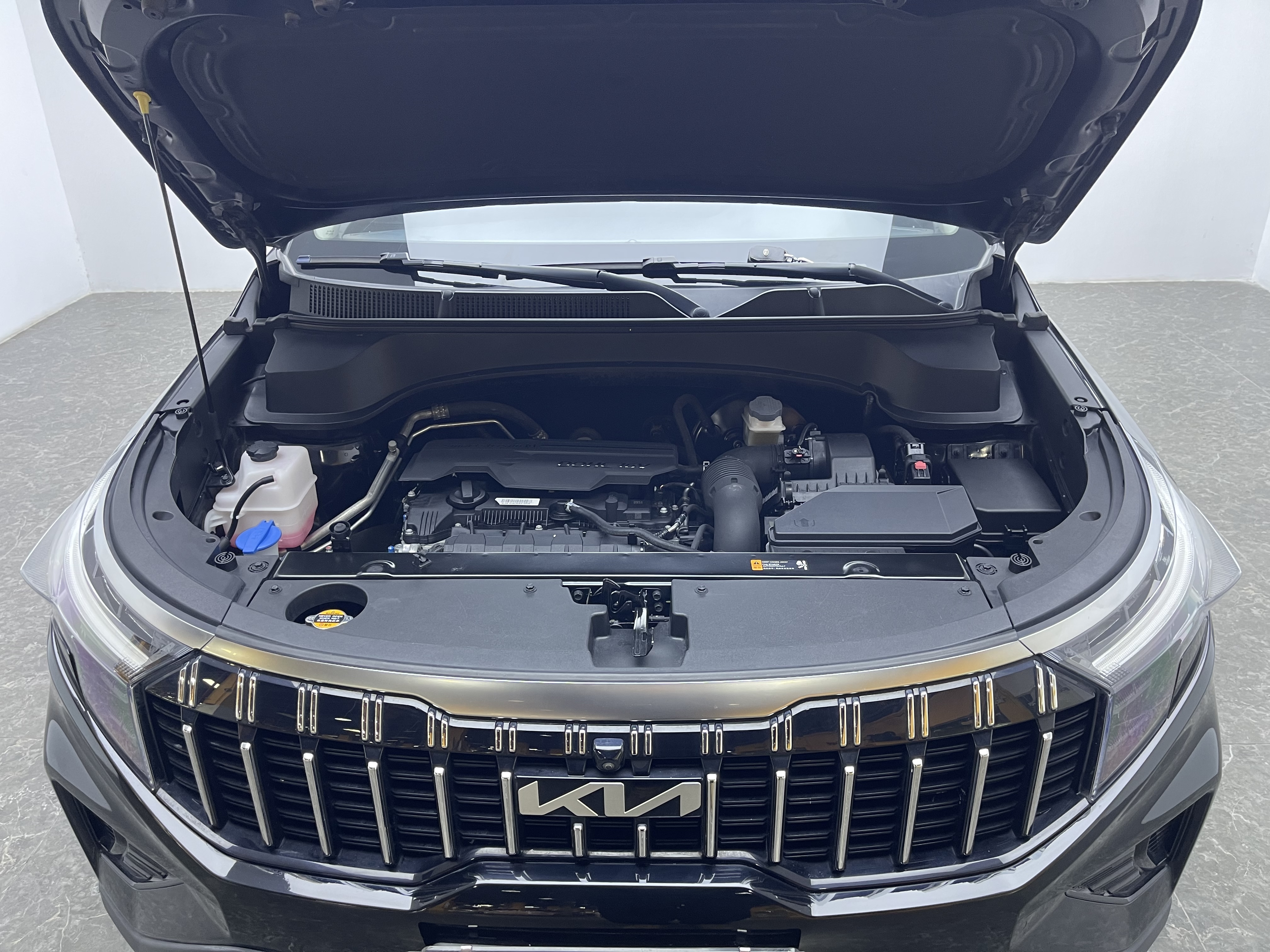 Kia Sportage R 2022 car image #16