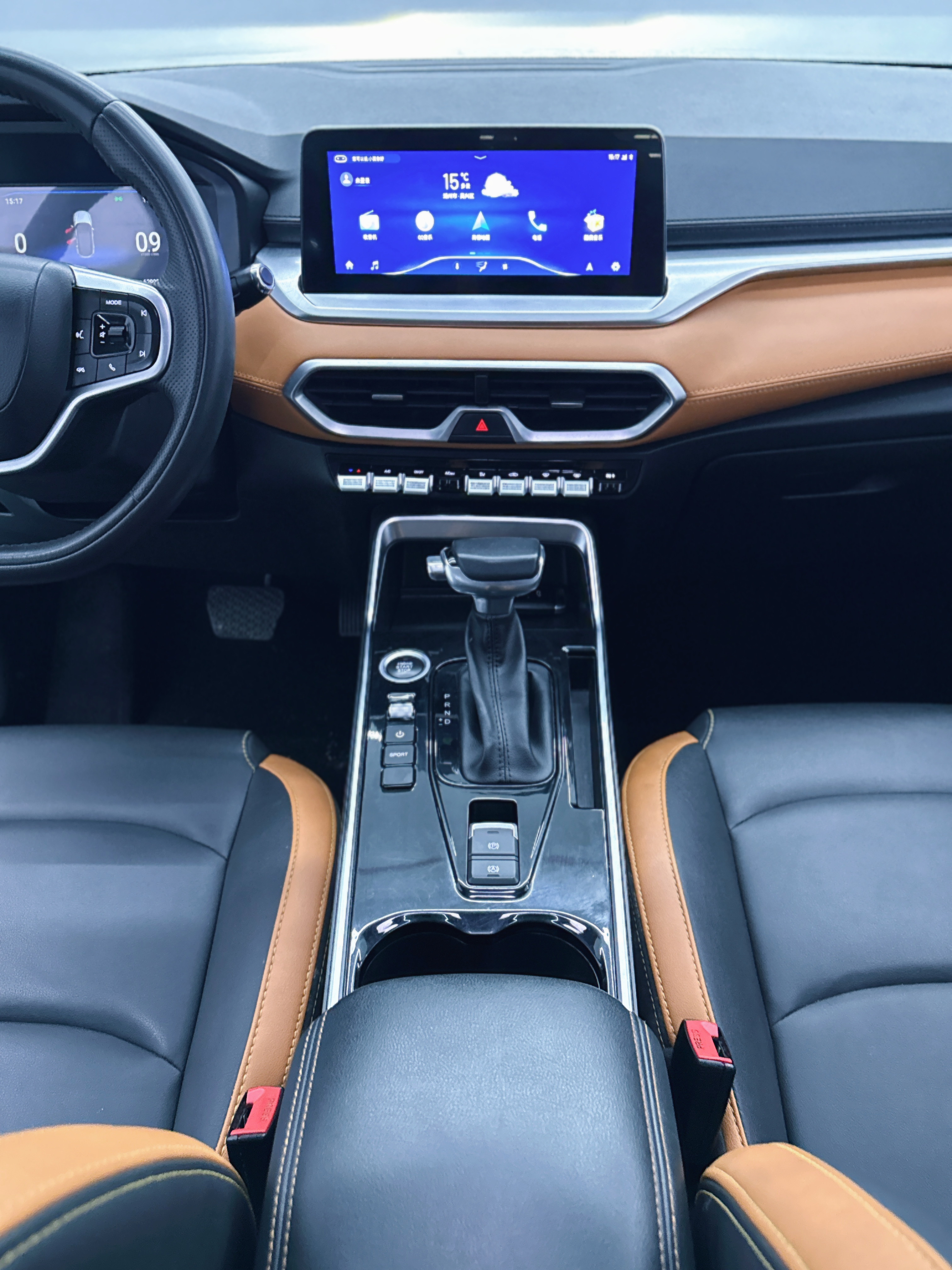 Showjet Pro 2021 car image #16