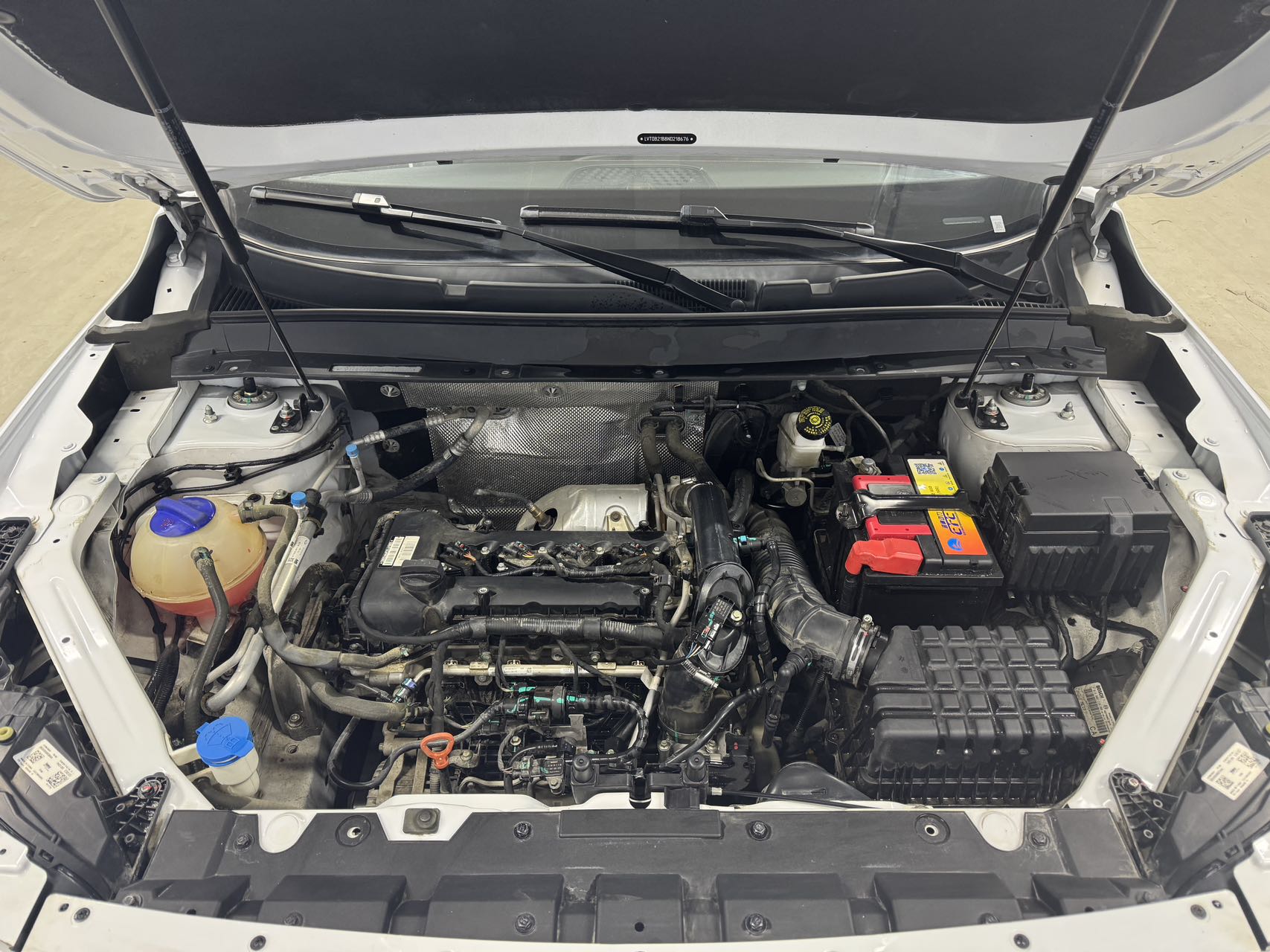 Exceed Chasing Wind 2022 car image #16